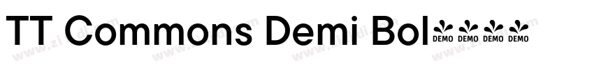 TT Commons Demi Bol字体转换